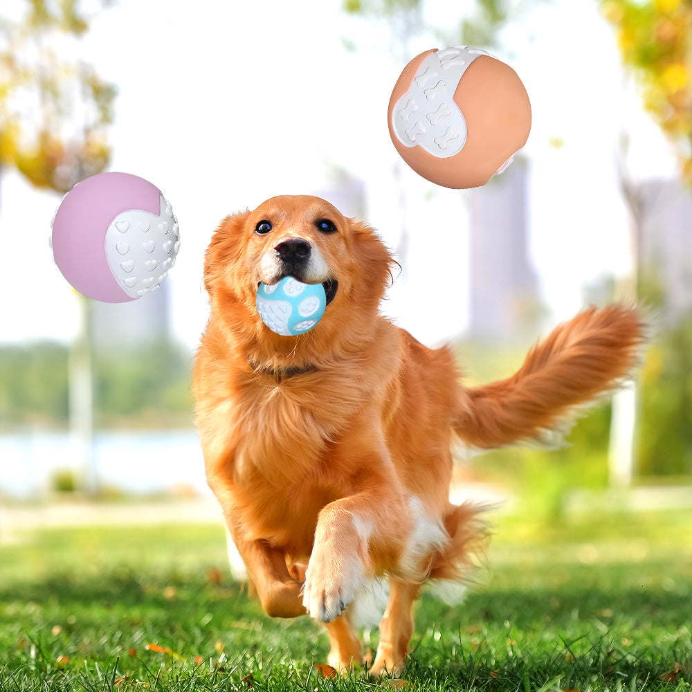 Zanivo Hundespielzeug-Bälle aus Gummi – 12 Stück, robust & zahnreinigend ✅